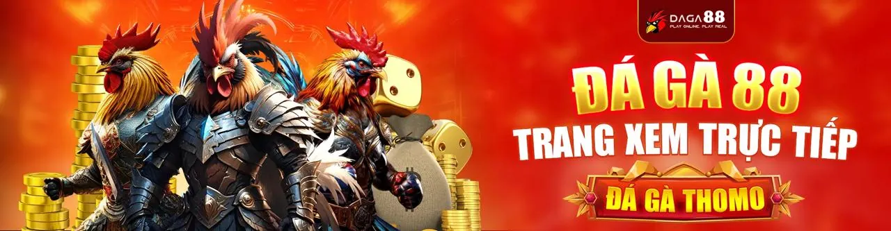 Đá gà trực tiếp 789live với không khí sôi động và kịch tính