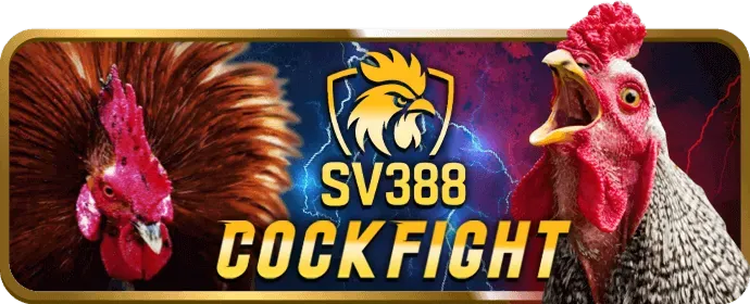 Hướng dẫn cá cược thể thao 789live cho người mới